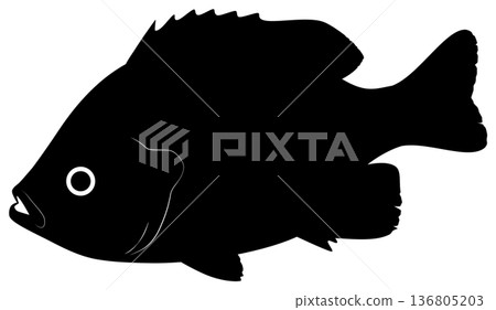 藍鰓太陽魚 136805203