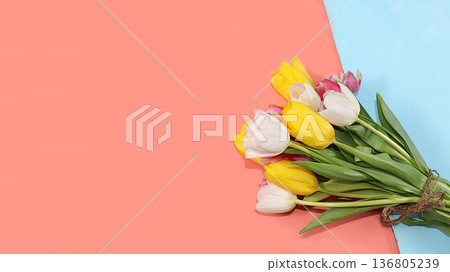 Creative layout with tulips on a colorful background, minimal holiday and spring concept, geometry. Greeting card, spring banner for the screen, happy birthday, wedding, place for text, flat lay Creative layout with tulips on a colorful background, minimal holiday and spring concept, geometry. Greeting card, spring banner for the screen, happy birthday, wedding, place for text, flat lay 136805239