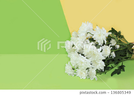 Floral arrangement with carnations on a pink background. Concept for Valentine's Day or Women's Day, Mother's Day, banner, greetings to your loved one on holiday, birthday, minimal modern design, sele Floral arrangement with carnations on a pink background. Concept for Valentine's Day or Women's Day, Mother's Day, banner, greetings to your loved one on holiday, birthday, minimal modern design, sele 136805349