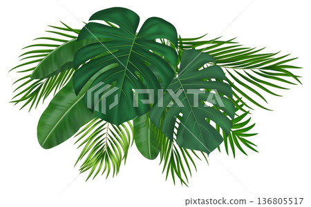 Tropical palm leaves bouquet. Lush foliage create exotic jungle atmosphere. Realistic green fronds with monstera plants form natural botanical frame for summer designs. Vector illustration 136805517