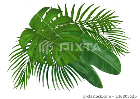 Green tropical leaf composition with palm fronds and banana plants. Exotic jungle leaves for Hawaiian beach paradise decoration and summer invitations. Vector illustration 136805520