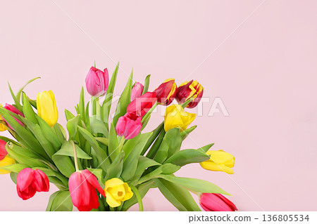 Floral arrangement with tulips on a pink background. Minimal template for design. Concept for Women's Day, Mother's Day, banner, congratulations to your loved one on holiday, birthday, selective focus 136805534