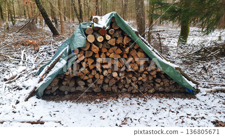 Stacked fresh firewood logs laid in a pile in winter forest. Prepared fuel for the fireplace. Cuting split wood logs unter the snow. Stacked fresh firewood logs laid in a pile in winter forest. Prepared fuel for the fireplace. Cuting split wood logs unter the snow. 136805671