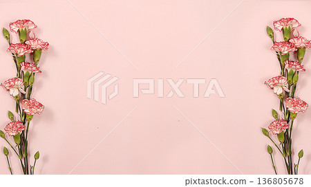Carnations on a pink table, abstract spring floral background. Creative modern bouquet, minimal holiday concept. Greeting card for Women's Day or Mother's Day, happy birthday, wedding, gift for loved Carnations on a pink table, abstract spring floral background. Creative modern bouquet, minimal holiday concept. Greeting card for Women's Day or Mother's Day, happy birthday, wedding, gift for loved 136805678