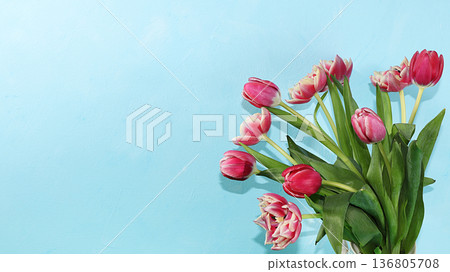 Creative layout with tulips on a blue background, minimal holiday and spring concept. Greeting card, spring banner for the screen, happy birthday, wedding, place for text, flat lay Creative layout with tulips on a blue background, minimal holiday and spring concept. Greeting card, spring banner for the screen, happy birthday, wedding, place for text, flat lay 136805708