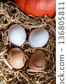White and brown fresh eggs with dry hay straw. Nature background. Chicken egg in carton box for cooking healthy food. Bio organic eggs on the farm. 136805811