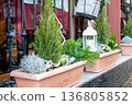 Flower pot with Christmas tree and decor stay in front of the glass windows on the street in winter time. Beautiful exterior decoration. 136805852