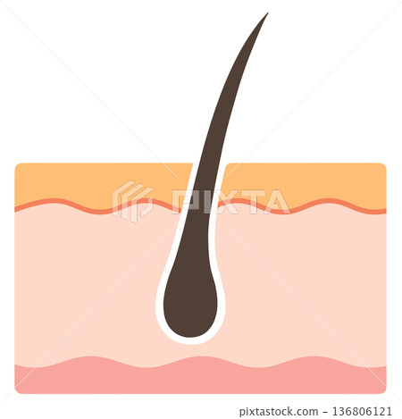 毛孔 毛孔 136806121