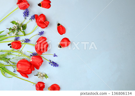 Floral arrangement with tulips, forget-me-nots and muscari. Minimal template for design. Concept for Women's Day, Mother's Day, banner, congratulations to your loved one on holiday, birthday, Floral arrangement with tulips, forget-me-nots and muscari. Minimal template for design. Concept for Women's Day, Mother's Day, banner, congratulations to your loved one on holiday, birthday, 136806134