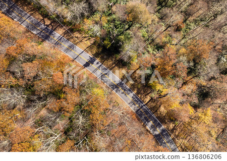 Car road trip on Blue Ridge Parkway in North Carolina Appalachian mountains in fall season. Autumnal landscape of beautiful nature Car road trip on Blue Ridge Parkway in North Carolina Appalachian mountains in fall season. Autumnal landscape of beautiful nature 136806206