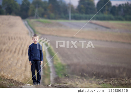 Young handsome blond child boy standing alone on ground road among golden grassy wheat fields on blurred foggy green trees and meadows background. Active lifestyle, outdors weekend activity concept. Young handsome blond child boy standing alone on ground road among golden grassy wheat fields on blurred foggy green trees and meadows background. Active lifestyle, outdors weekend activity concept. 136806256