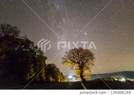 Golden and red trees under black starry sky and bright lights of moving cars or town in the distance 136806288