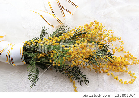 Spring flowers mimosa light background, wishes of good morning and happy women's day Spring flowers mimosa light background, wishes of good morning and happy women's day 136806364