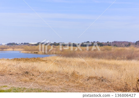 Around Shibakawa First Regulation Pond, Saitama City, Saitama Prefecture February 2026 Around Shibakawa First Regulation Pond, Saitama City, Saitama Prefecture February 2026 136806427