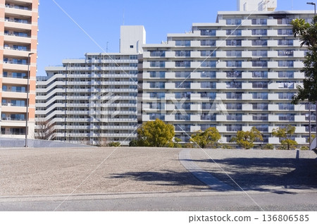 東京江戶川區紅葉橋周圍 2026 年 2 月 136806585