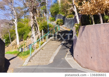 2026年2月，千葉縣松戶市勘助井附近 136806601