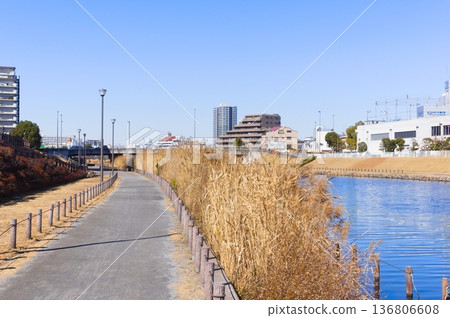 2026年2月,東京江戶川區舊中川沿岸 2026年2月,東京江戶川區舊中川沿岸 136806608