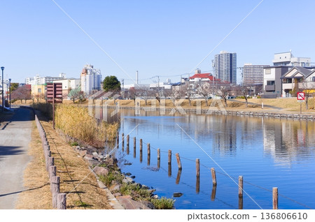 2026年2月，東京江戶川區舊中川沿岸 136806610