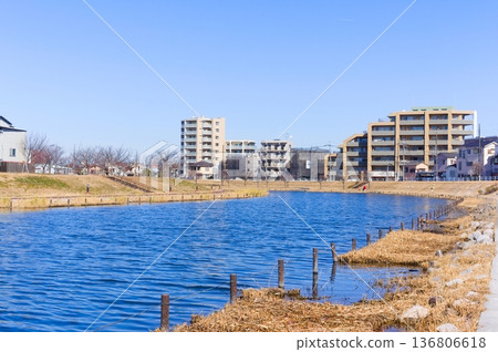 Along the Old Nakagawa River, Edogawa Ward, Tokyo February 2026 Along the Old Nakagawa River, Edogawa Ward, Tokyo February 2026 136806618