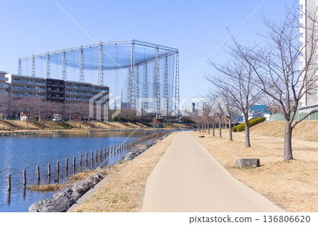 2026年2月，東京江戶川區舊中川沿岸 136806620