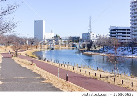 2026年2月,東京江戶川區舊中川沿岸 2026年2月,東京江戶川區舊中川沿岸 136806622