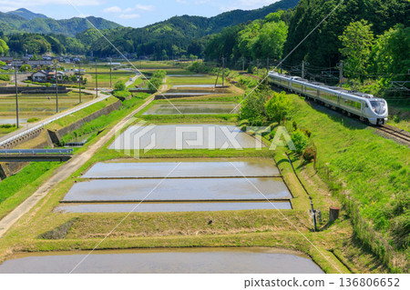 一列山陰本線特快列車飛馳而過稻田，駛向城崎。 136806652