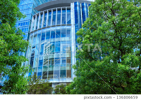 A view of Nishi-Umeda, Osaka, with skyscrapers visible through the gaps between the trees lining the street 136806659