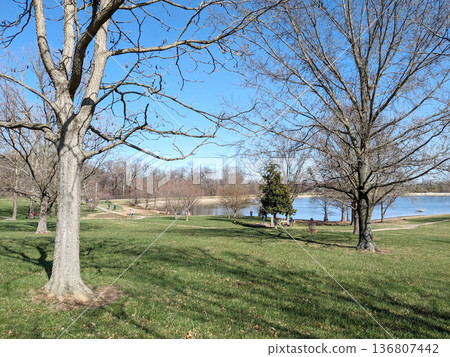 Spring scenery of a lakeside park with lawns and deciduous trees | Outdoor background material with blue sky 136807442