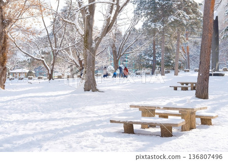 A snowy park sparkling in the sunlight, the silence and warmth of winter A snowy park sparkling in the sunlight, the silence and warmth of winter 136807496