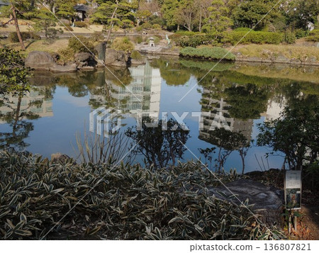 Tokyo, Sumida Ward: Kumazasa bamboo by the pond and Yasuda Garden Tokyo, Sumida Ward: Kumazasa bamboo by the pond and Yasuda Garden 136807821