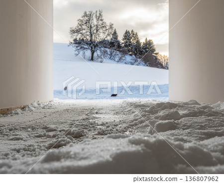 一條靜謐的小路通往白雪皚皚的冬日田野，一隻小貓在其中漫步。這場景彷彿置身於一個故事之中。 136807962