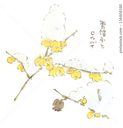 Winter landscape, watercolor illustration of wintersweet with a snow cap Winter landscape, watercolor illustration of wintersweet with a snow cap 136808380