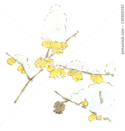 冬日風景,水彩插畫,描繪了頂著雪的甜菊。 冬日風景,水彩插畫,描繪了頂著雪的甜菊。 136808381