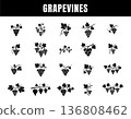 Grapevine Silhouette Set Vintage Grape Branch and Leaves Vector Collection 136808462