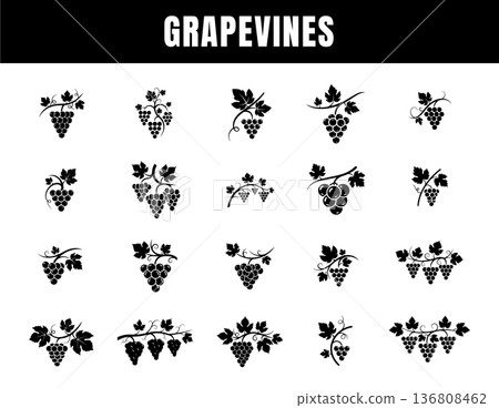 Grapevine Silhouette Set Vintage Grape Branch and Leaves Vector Collection Grapevine Silhouette Set Vintage Grape Branch and Leaves Vector Collection 136808462