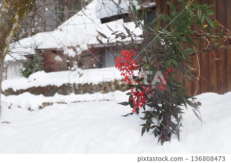 南天竹和雪的紅色漿果 136808473
