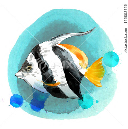 Hand-Drawn Sea Fish Illustration.  Vintage Ink and Yellow Watercolour Nautical Art 136808566