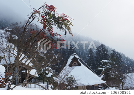 Nanten and Winter Thatched Village Nanten and Winter Thatched Village 136808591