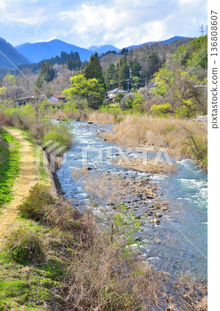 赤谷川,櫻花盛開的季節,新春中央體育公園附近的景色 赤谷川,櫻花盛開的季節,新春中央體育公園附近的景色 136808607