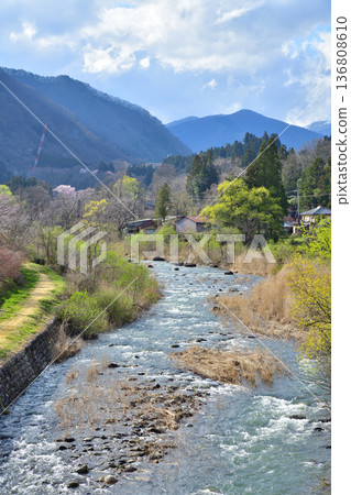 Akatani River, cherry blossom season, scenery near Niiharu Central Sports Park 136808610