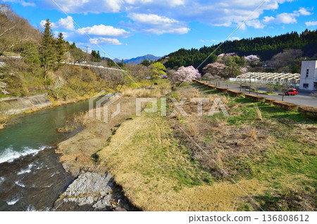 Akatani River, cherry blossom season, scenery near Niiharu Central Sports Park 136808612
