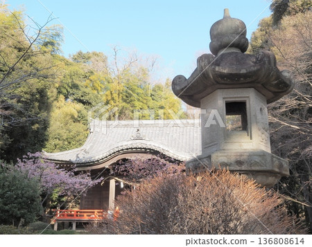 Kanagawa Prefecture, Azumayama Park, Azuma Shrine, January 136808614