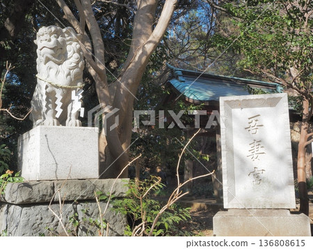 Kanagawa Prefecture, Azumayama Park, Azuma Shrine, guardian lion dogs, January Kanagawa Prefecture, Azumayama Park, Azuma Shrine, guardian lion dogs, January 136808615