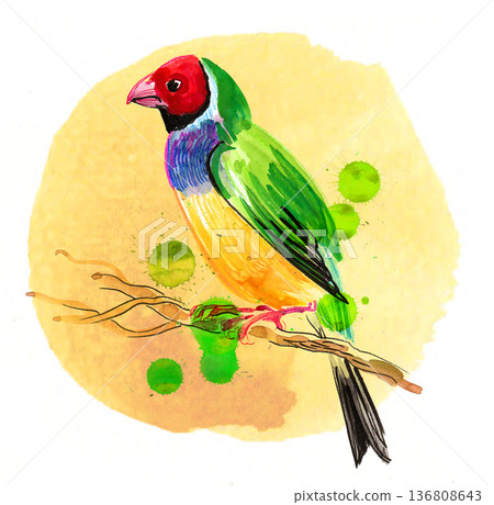 Hand-Drawn Songbird Illustration. Vintage Ink and Yellow Watercolor Nature Art 136808643