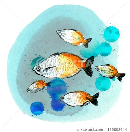 Hand-Drawn Sea Fish Illustration. Vintage Ink and Yellow Watercolor Nautical Art 136808644