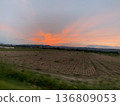 Phoenix clouds at dusk over a potato field in Hokkaido 136809053