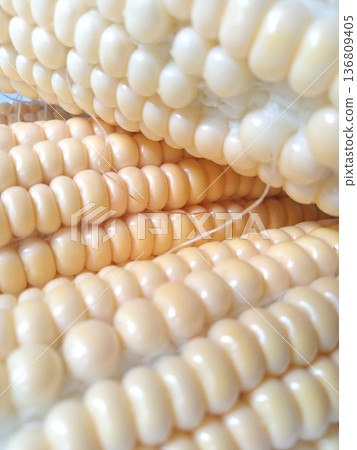 A vibrant close-up of fresh white corn cobs showcasing the perfect rows of plump, pale kernels, highlighting the natural texture and beauty of this healthy vegetable. 136809405