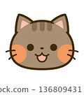 Cute tabby cat face icon 136809431