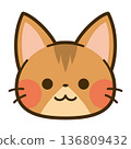 Cute Abyssinian face icon 136809432