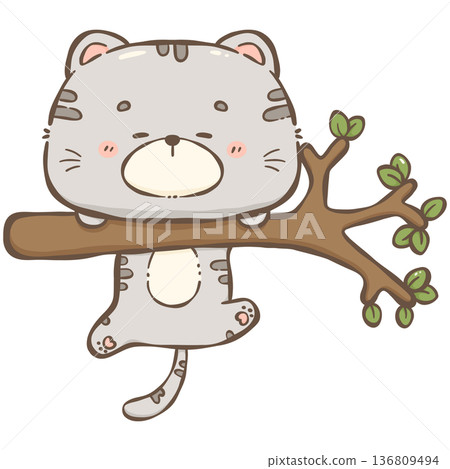 Little gray cat  136809494